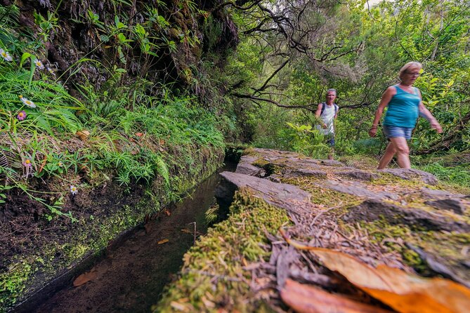 Caldeirão Verde Levadas Walk in Madeira - A realistic pace for the four-hour walk