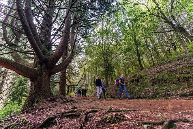 Caldeirão Verde Levadas Walk in Madeira - The good and bad of joining a guided group