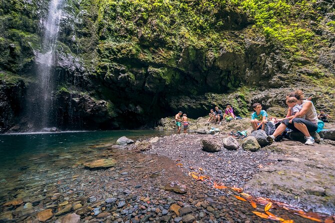 Caldeirão Verde Levadas Walk in Madeira - Is $52.86 good value?