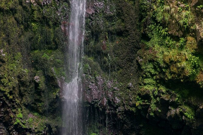 Caldeirão Verde Levadas Walk in Madeira - Who should book this Madeira hike?