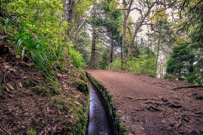 Caldeirão Verde Levadas Walk in Madeira - What makes the waterfall and tunnels special