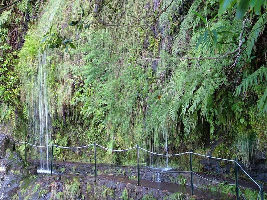 Caldeirão Verde: Queimadas PR9 Transfer and Self-Guided Hike - Who should book this walk