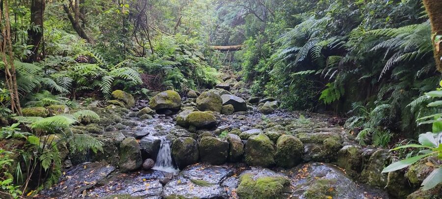 Caldeirão Verde: Queimadas PR9 Transfer and Self-Guided Hike - Four tunnels make a torch worthwhile