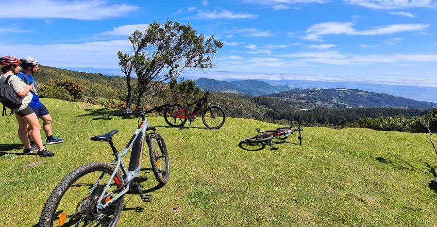 Camacha: Levada Trail e-Bike Guided Tour - Why the Camacha levada route works so well