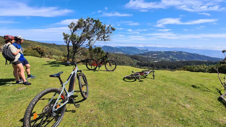 Camacha: Levada Trail e-Bike Guided Tour - The first 90 minutes: fields, bridges, and forest