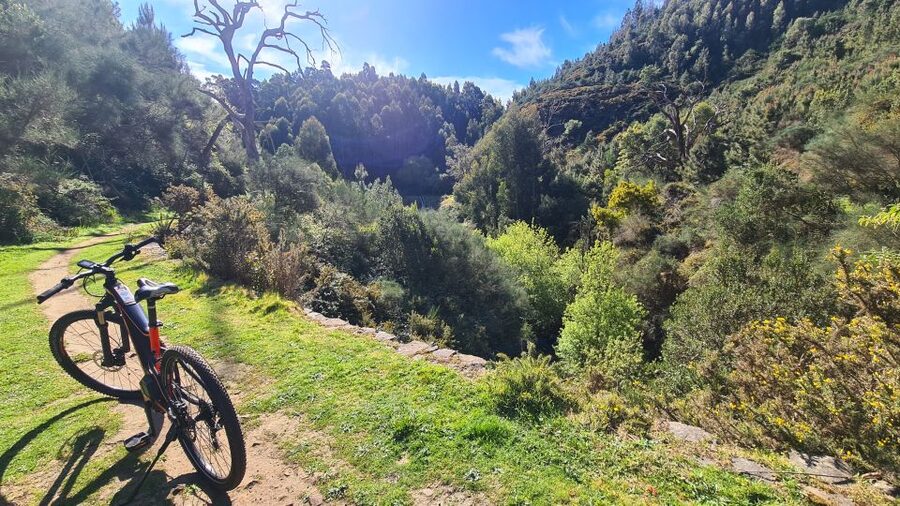 Camacha: Levada Trail e-Bike Guided Tour - What happens in bad weather