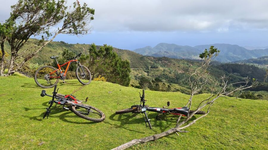 Camacha: Levada Trail e-Bike Guided Tour - The guide and group size