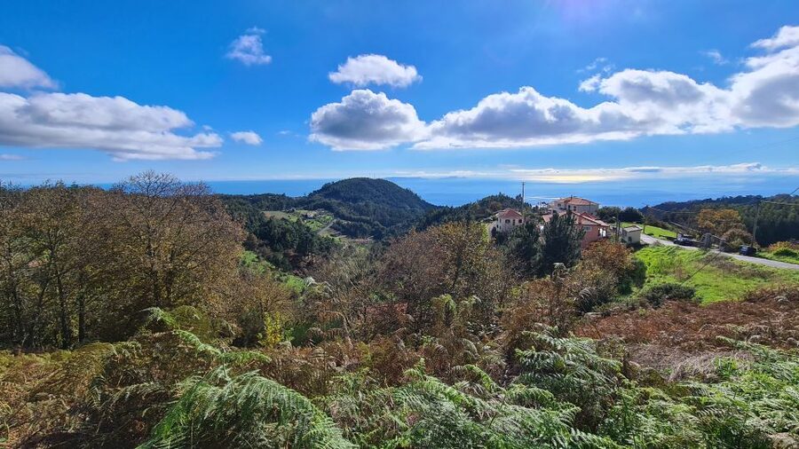 Camacha: Levada Trail e-Bike Guided Tour - Getting started in Camacha