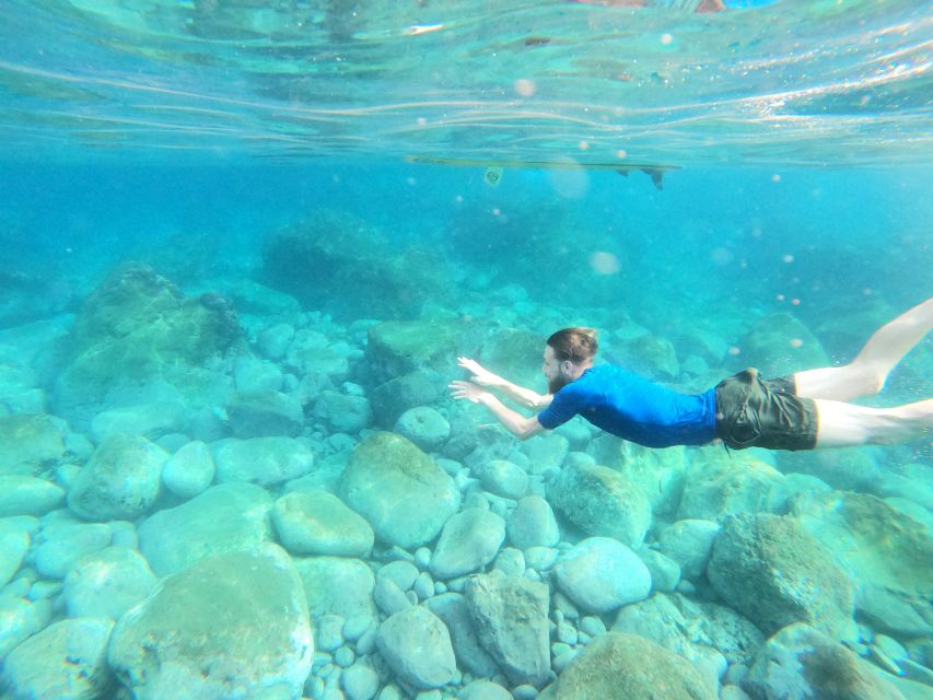 Câmara de Lobos: Private Guided Kayaking Tour in Madeira - FAQ