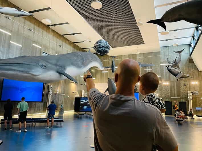 Caniçal : Madeira Whale Museum Entry ticket - Start with the full-size whales and dolphins