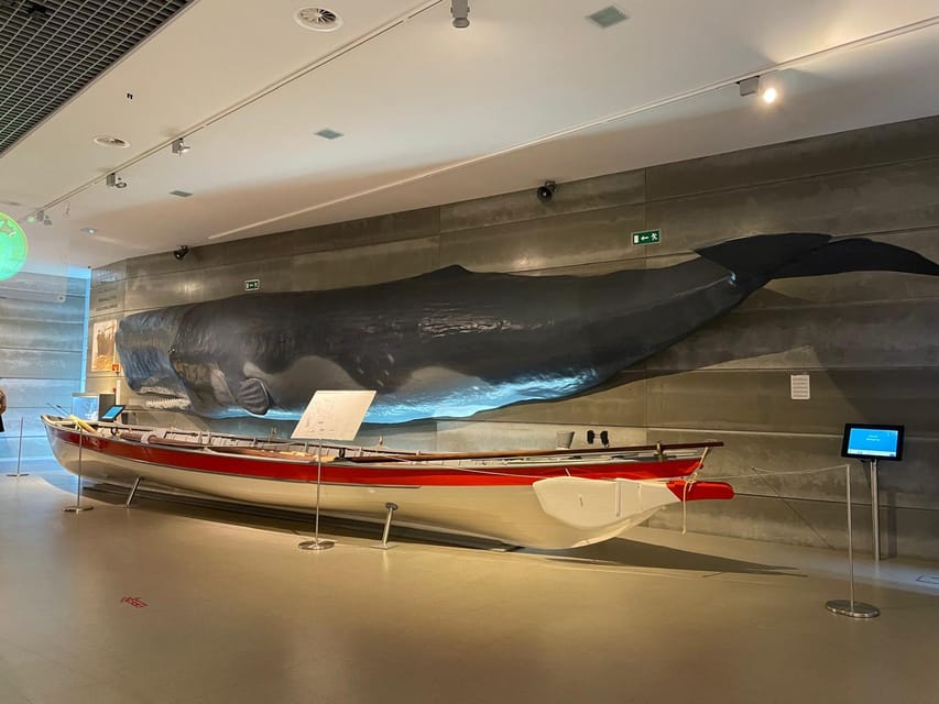 Caniçal : Madeira Whale Museum Entry ticket - Watch the stereoscopic 3D films