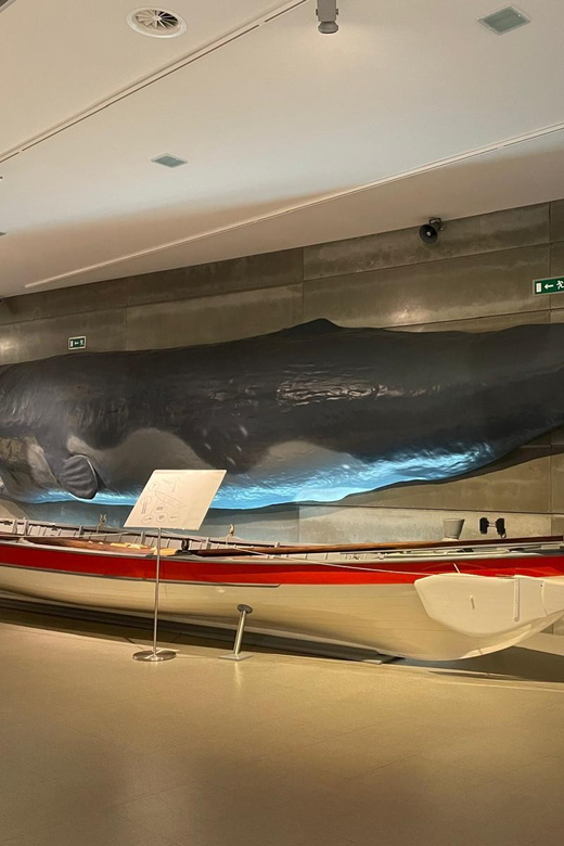Caniçal : Madeira Whale Museum Entry ticket - See the museum’s role in marine conservation