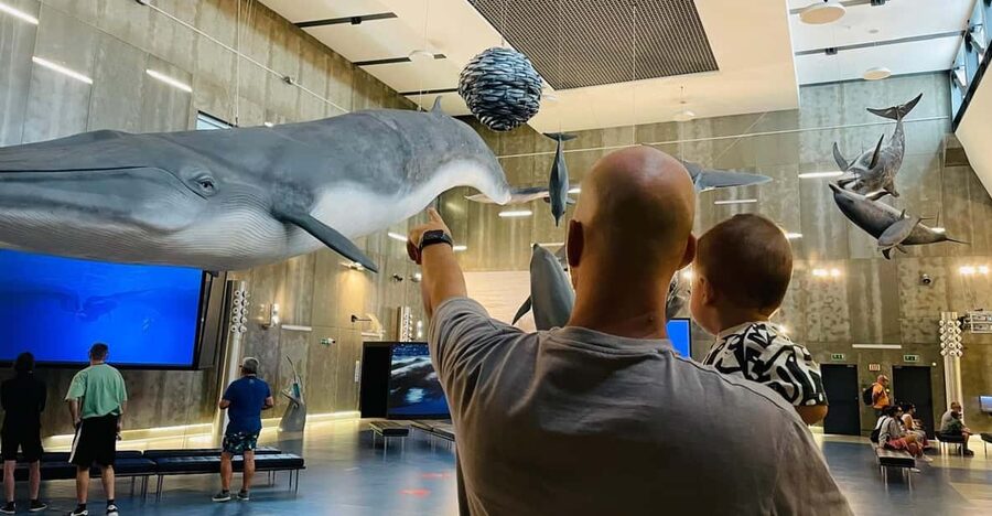 Caniçal : Madeira Whale Museum Entry ticket - Take your time with the temporary exhibition