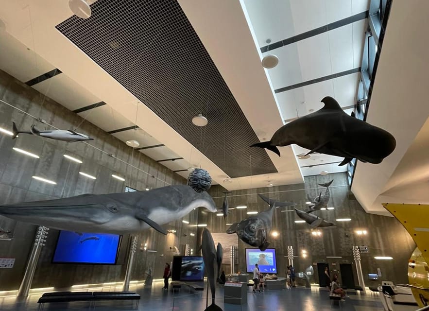 Caniçal : Madeira Whale Museum Entry ticket - Follow Madeira’s 20th-century whaling story