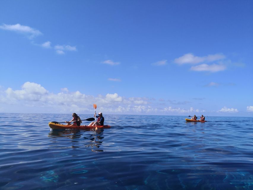 Caniço, Madeira: Marine Reserve Kayak & Snorkelling Tour - What to bring and what you get