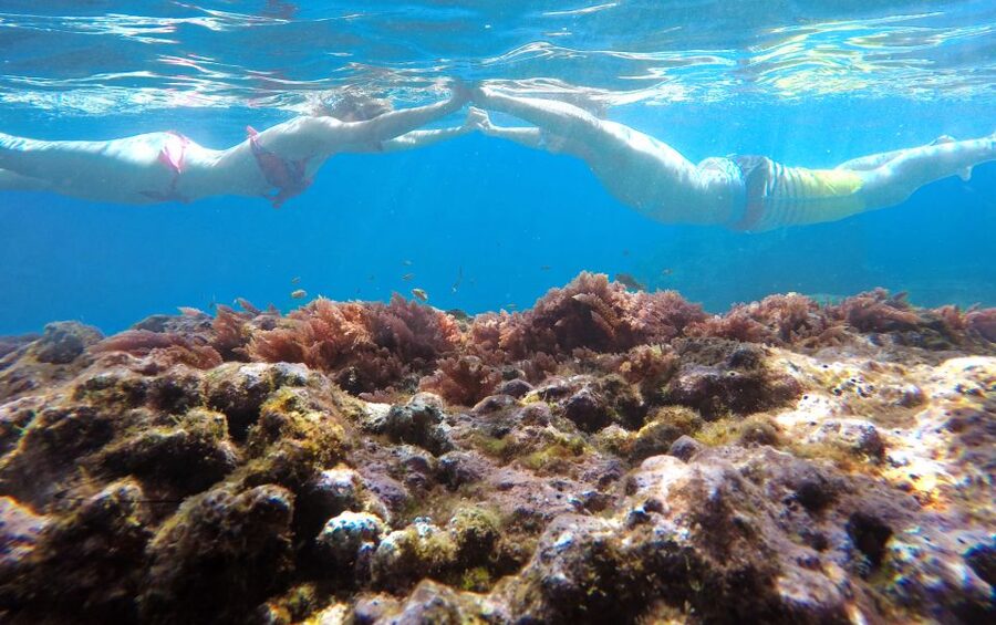 Caniço, Madeira: Marine Reserve Kayak & Snorkelling Tour - Paddling below the Caniço cliffs
