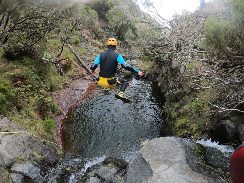 Canyoning in Madeira: Ideal for First-Timers and Families - Chão da Lagoa and the walk through Laurissilva Forest