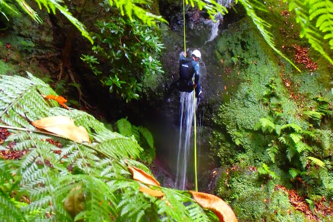 Canyoning Madeira Island - Level One - The guide team and the safety setup