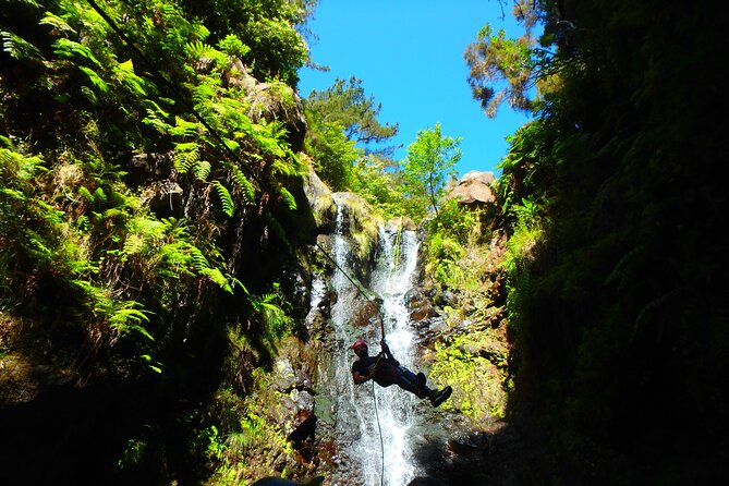 Canyoning Madeira Island - Level One - Is $80.69 a fair price?