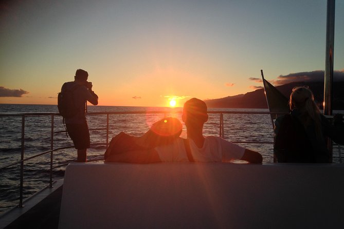 Catamaran Sunset Cruise from Funchal - Key Points to Know Before You Sail