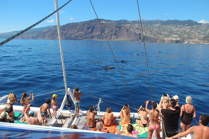 Catamaran Sunset Cruise from Funchal - Who Will Enjoy This Funchal Cruise