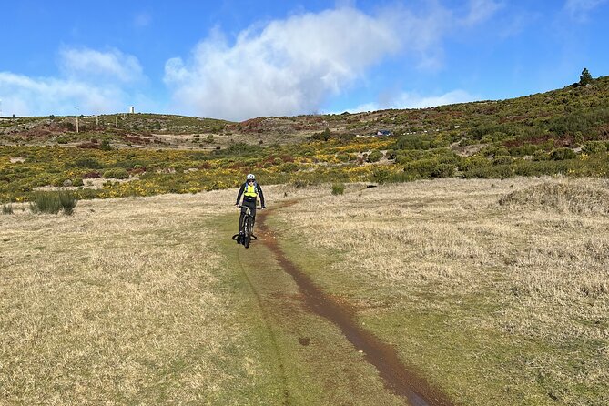 Cross Country - Moutain Bike Tour - The riding itself: climbs, roots, and fast descents