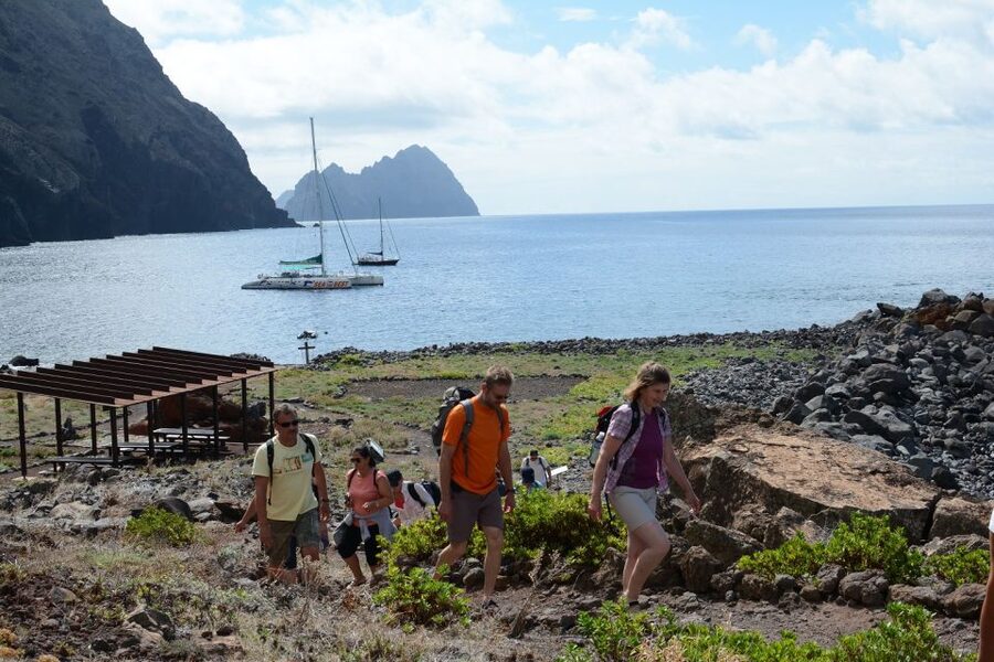 Desertas Islands Full-Day Catamaran Trip from Funchal - The monk seal conservation center