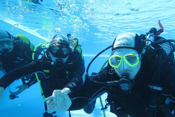 Discover Scuba Diving or Try dive - Meeting in Caniçal at 9:00 am
