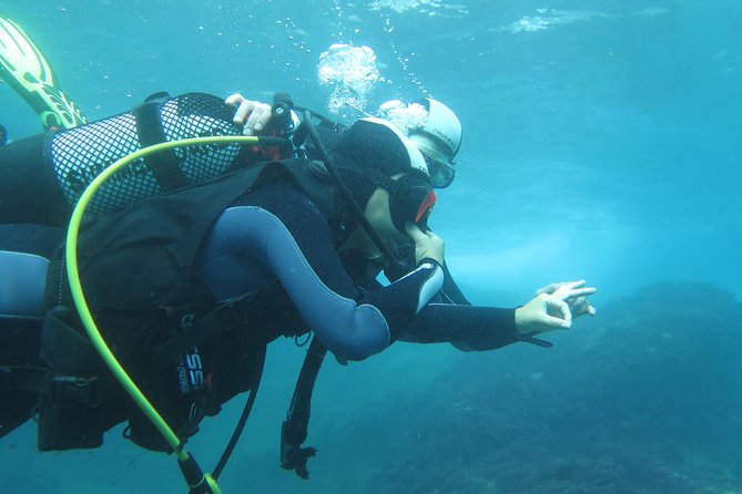Discover Scuba Diving or Try dive - Safety, Weather, and the Garajau Concern