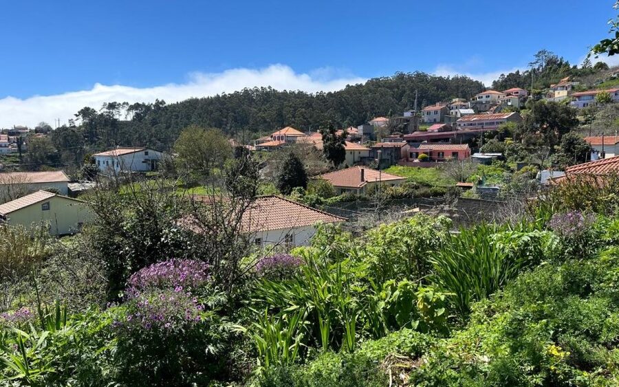 Discover the Paradise Valley - a quick escape for Everyone - Should you book this Camacha walk?