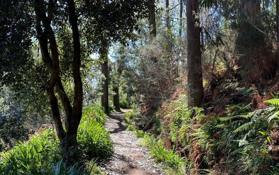 Discover the Paradise Valley - a quick escape for Everyone - Why the guide matters on this particular walk
