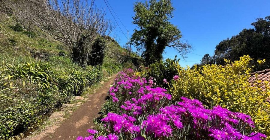 Discover the Paradise Valley - a quick escape for Everyone - Is $35 good value?