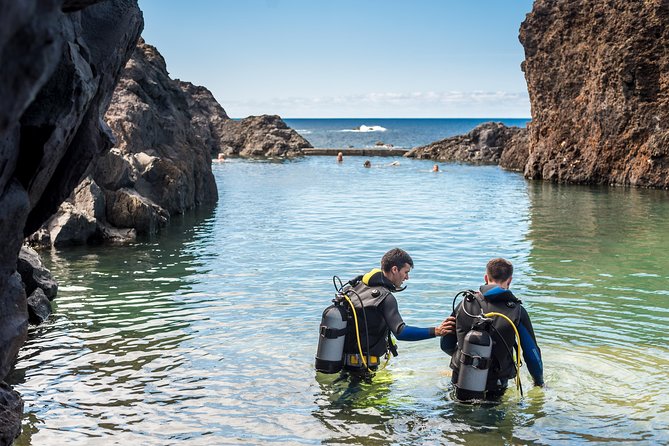 Diving in the Madeira Aquarium - What makes this aquarium experience different