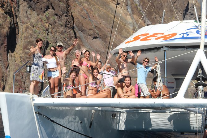 Dolphin and Whale Watching Catamaran Cruise from Funchal - The search for dolphins and whales