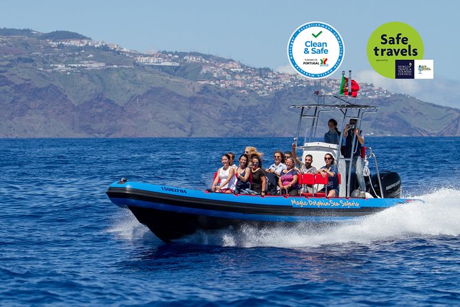 Dolphin - Whale - Turtle - Bird Watching - The first hour is a real wildlife search