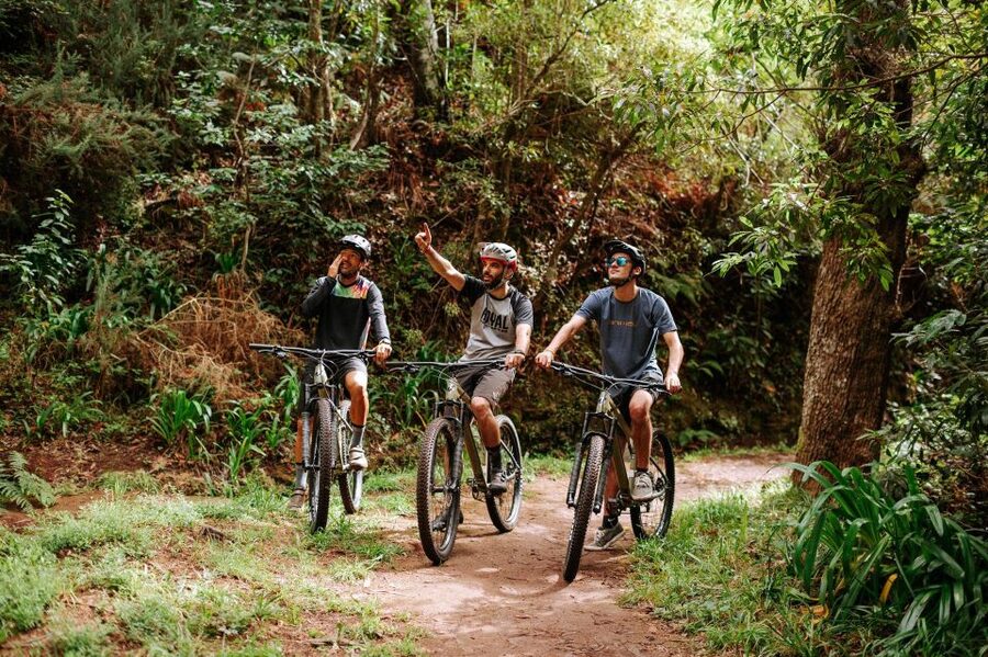 E-Bike Guided Tour - Belle Vue Mountain Biking - The old regional road leads into Machico