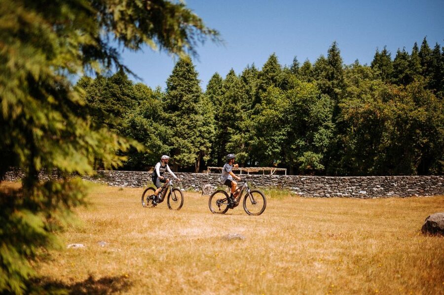 E-Bike Guided Tour - West Side Mountain Biking - From Funchal to Madeira’s western highlands