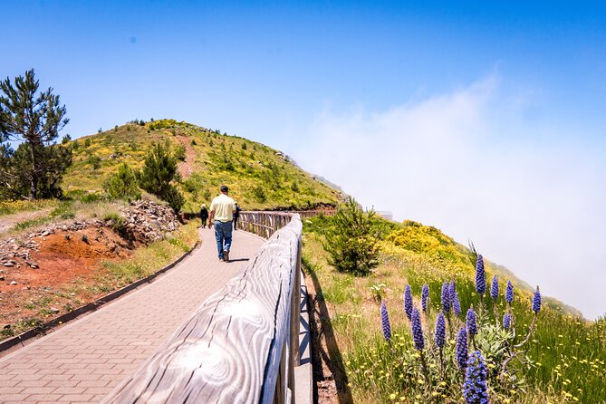 East of Madeira | Full Day 4x4 Tour - Santana and the traditional A-frame house