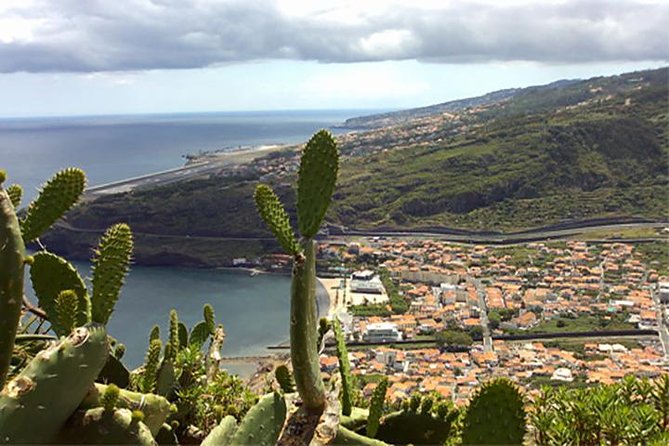 EAST: Pico do Arieiro & Laurissilva Forest - Full Day tour - Ribeiro Frio and the UNESCO Laurissilva Forest