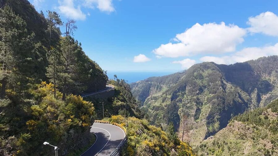 East Side of Madeira – Elegant Alternative to 4x4 Adventures - Ribeiro Frio and the quiet green of the levada