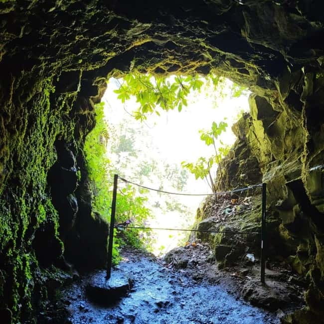 East Side of Madeira – Elegant Alternative to 4x4 Adventures - What the $70 price buys you