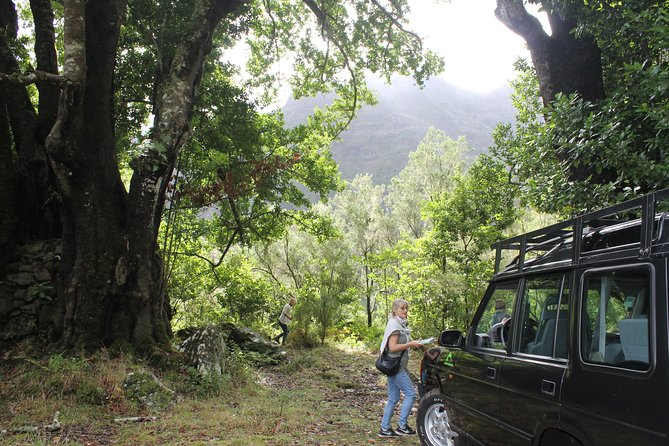 East Tour - 4x4 - Small Group - Porto da Cruz and the Engenhos do Norte