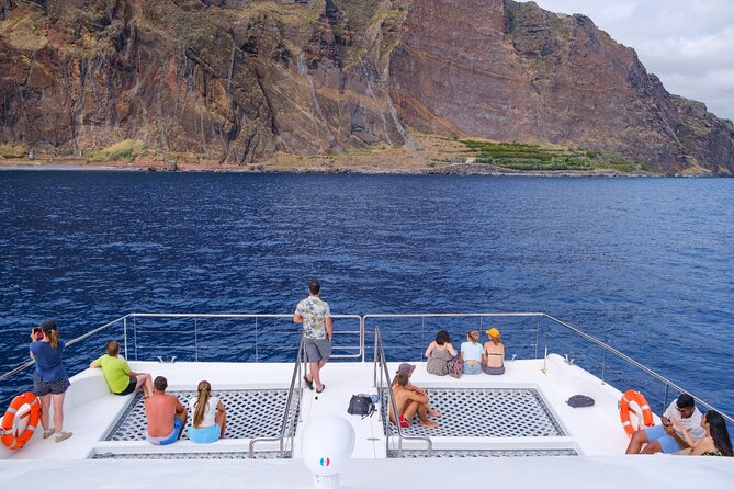 Eco-Friendly Catamaran Dolphin and Whale Watching - Respectful viewing, with limits on time