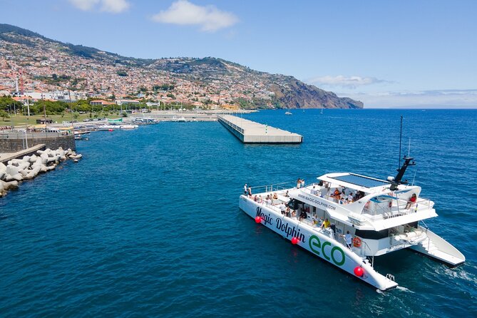 Eco-Friendly Catamaran Dolphin and Whale Watching - What the price includes, and what it does not