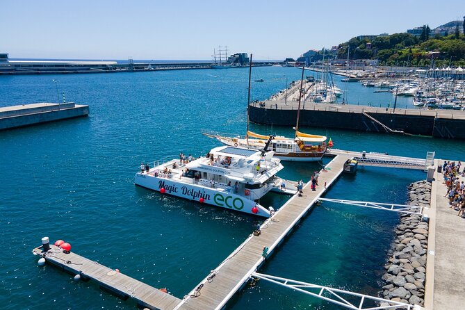 Eco-Friendly Catamaran Dolphin and Whale Watching - Weather, clothing, and practical planning