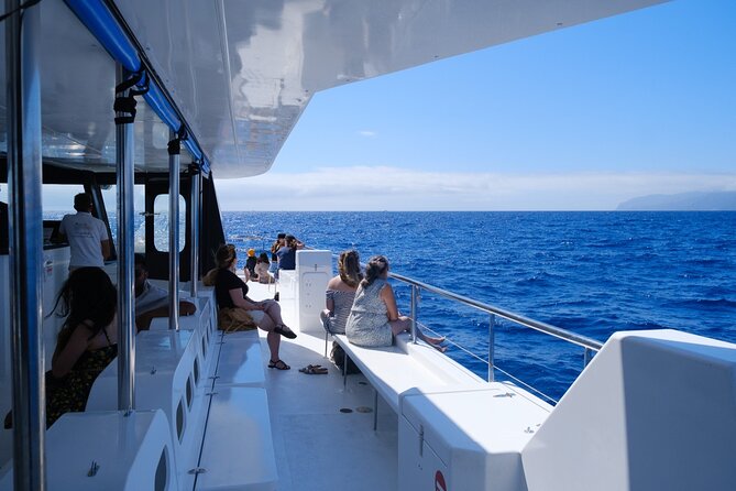 Eco-Friendly Catamaran Dolphin and Whale Watching - How the wildlife search works