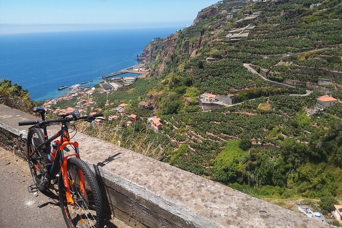 Electric Bike Tour in Northern Madeira - The guides and the pace of the ride