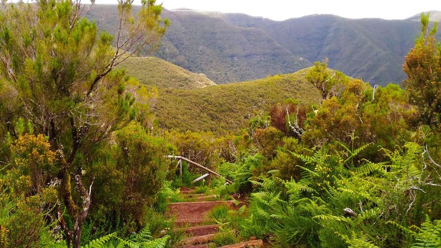 Fanal / Assobiadores - Levada Walk - Weather can change the character of the walk