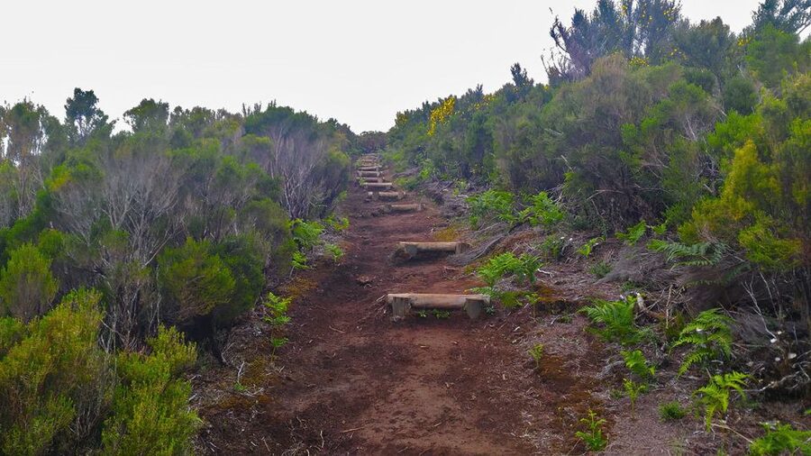 Fanal / Assobiadores - Levada Walk - Is $50 good value?