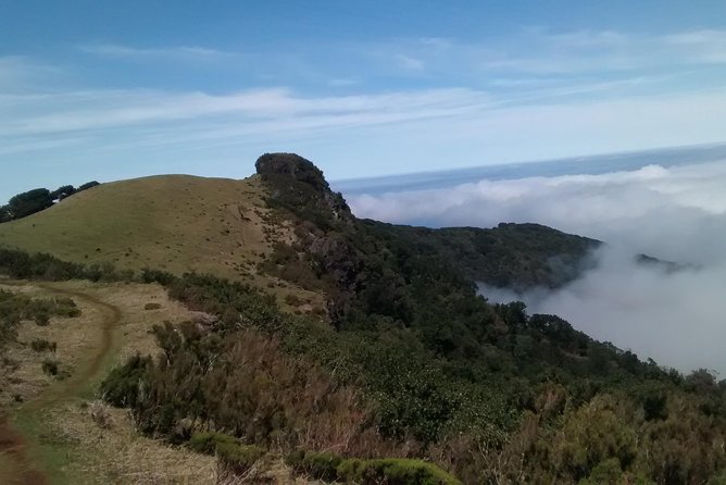 Fanal -Enchanted Forest - Coffee, equipment, and the price of $72.41